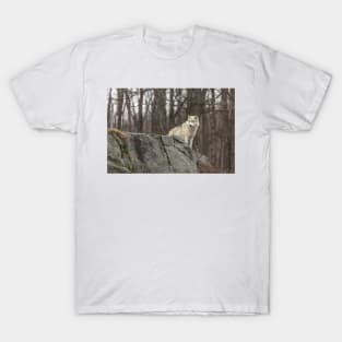 On the ledge T-Shirt